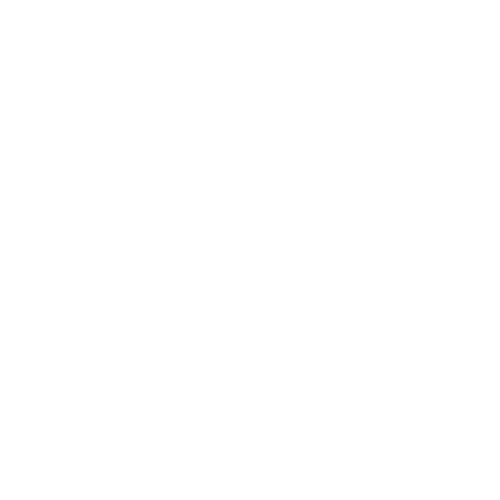 Map icon