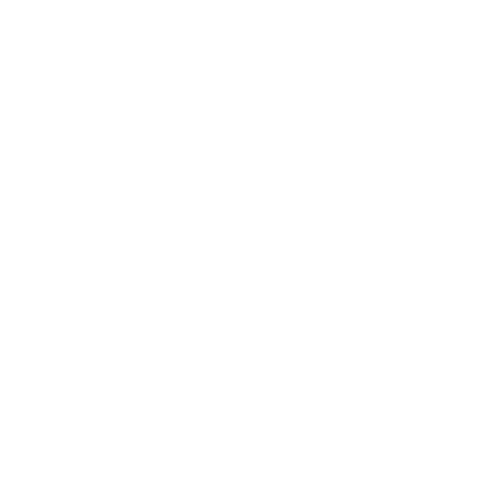 Bulleyes icon