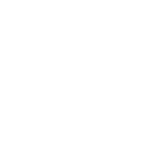 Two friends icon